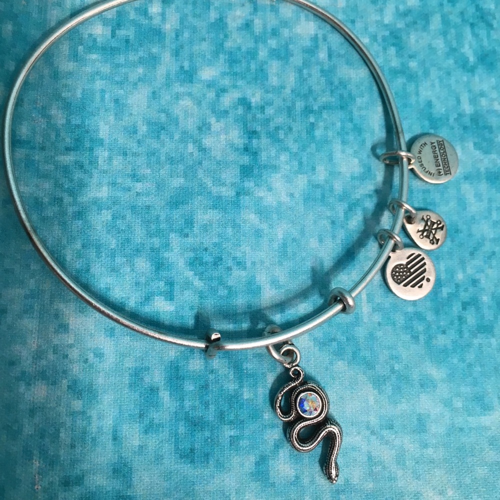 Alex and Ani Snake with Crystal Bangle - Picture 4 of 5